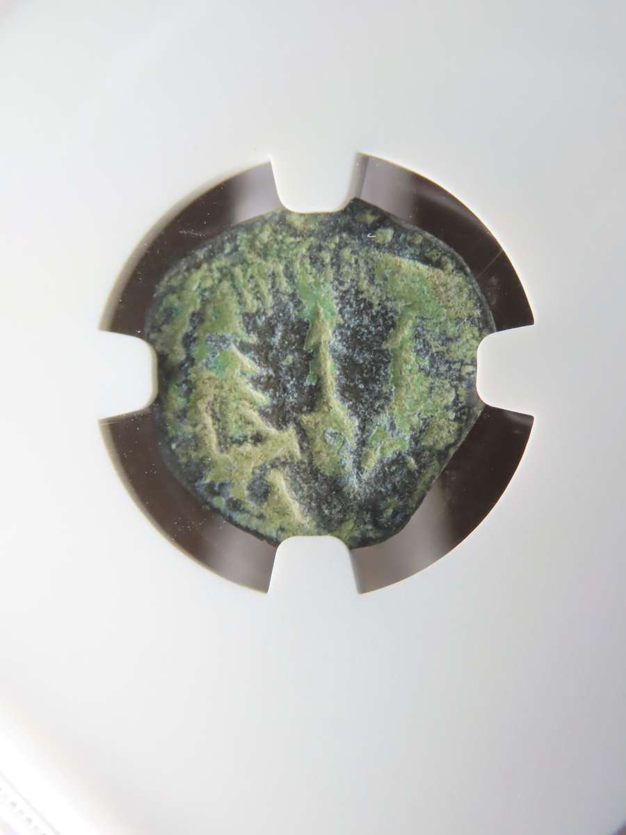 Ancient Judaea Prutah Coin, 37 - 44 AD, Governor Agrippa I Under Claudius, Coins of the Bible