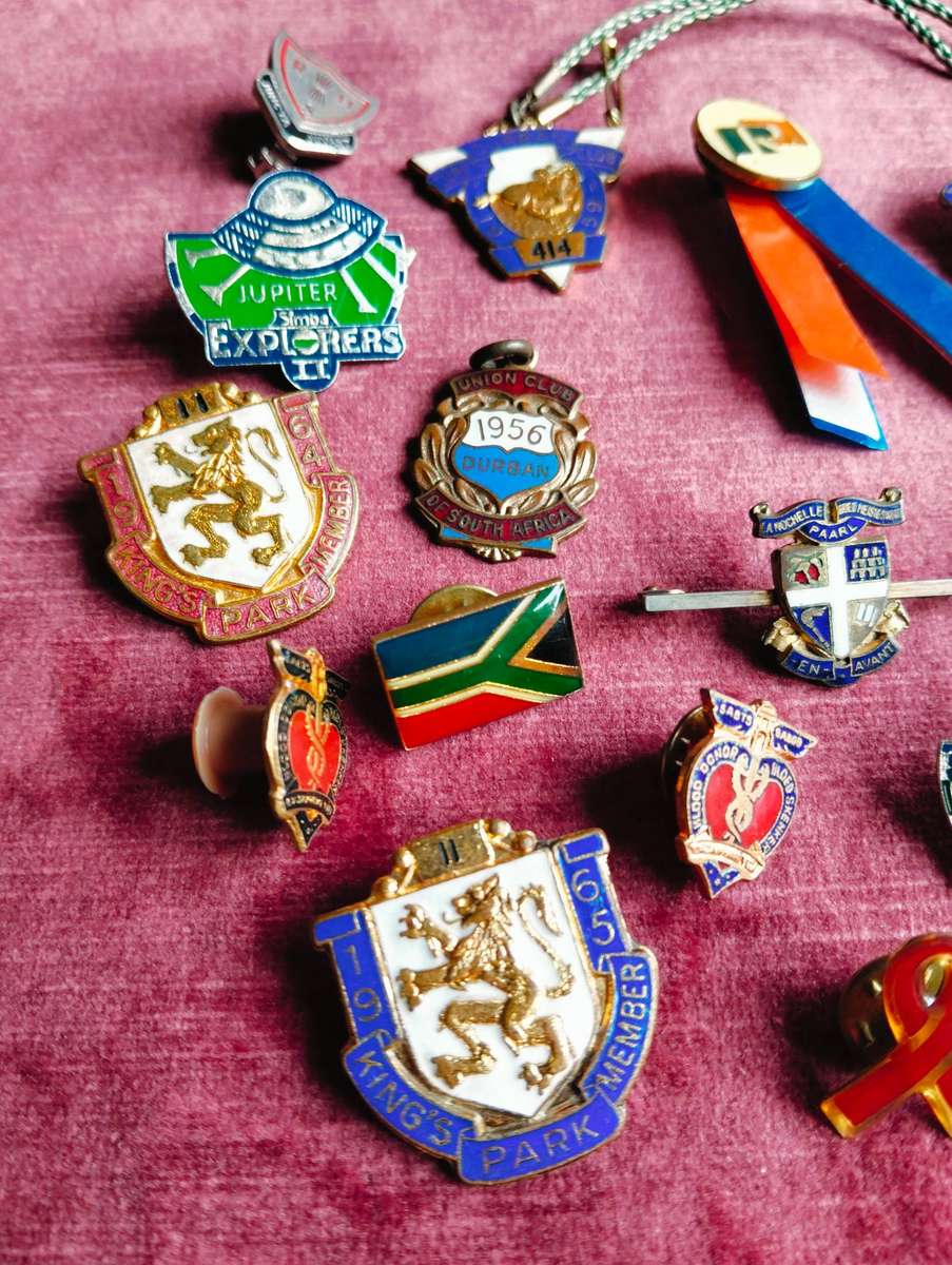 Vintage South African Pin Collection 16x