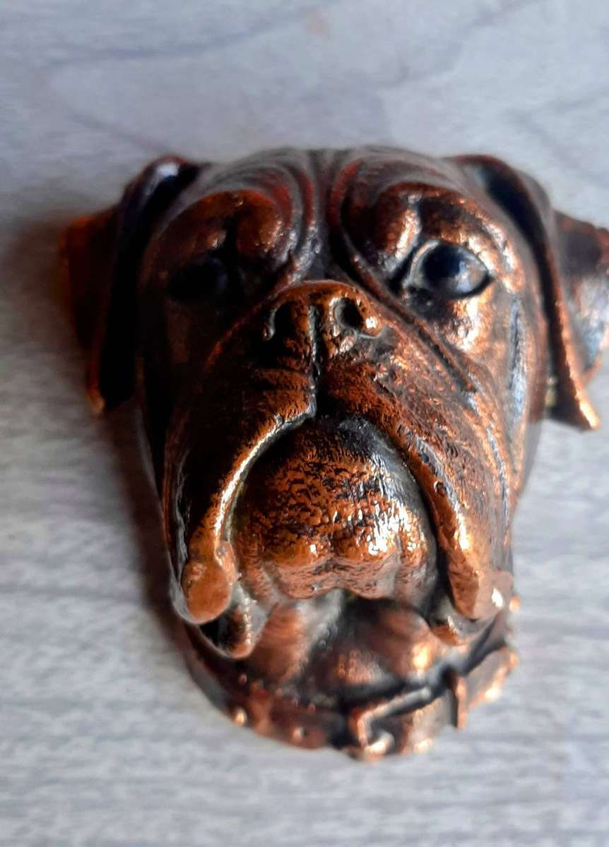 Copper plated boxer dog face with mirror of a boxer.