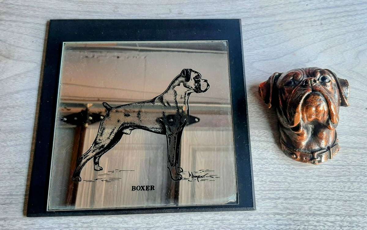 Copper plated boxer dog face with mirror of a boxer.