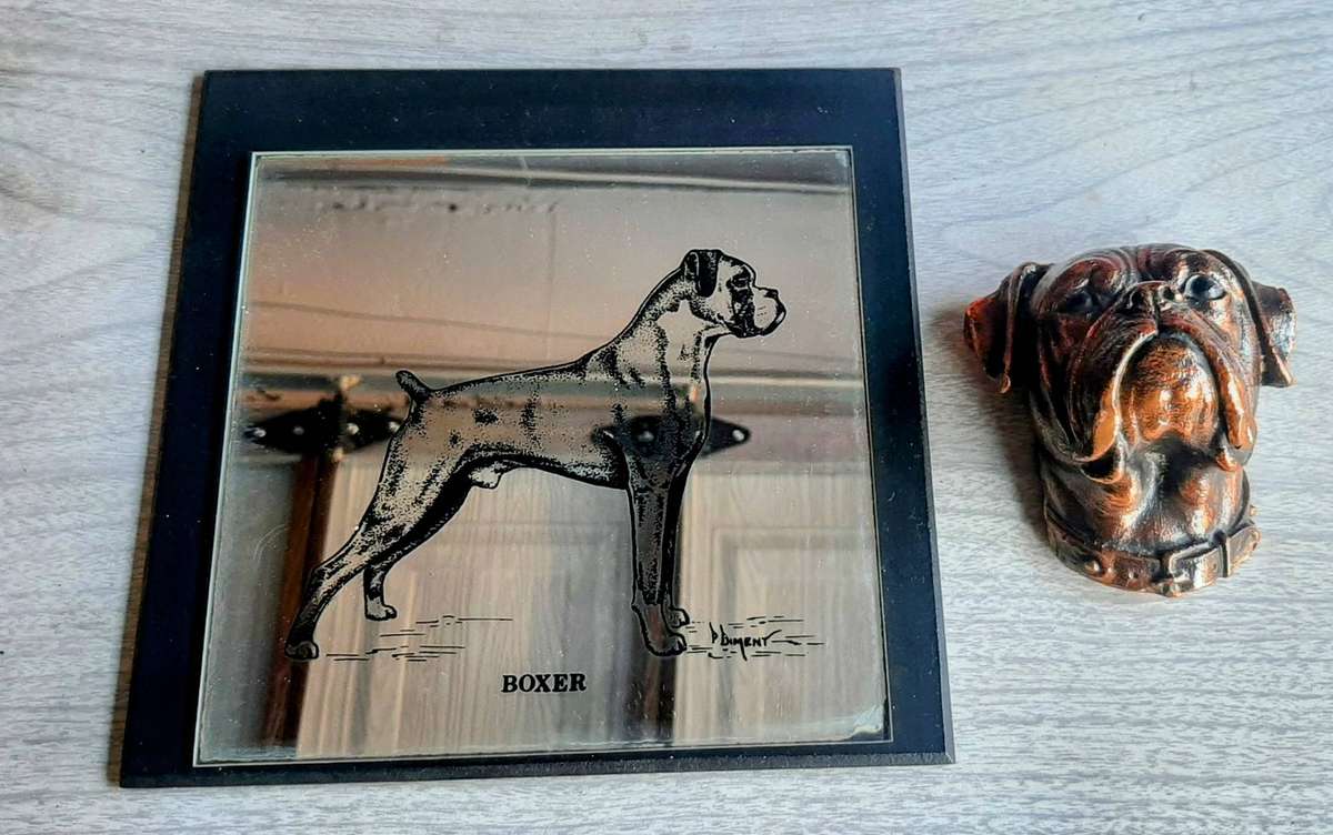 Copper plated boxer dog face with mirror of a boxer.