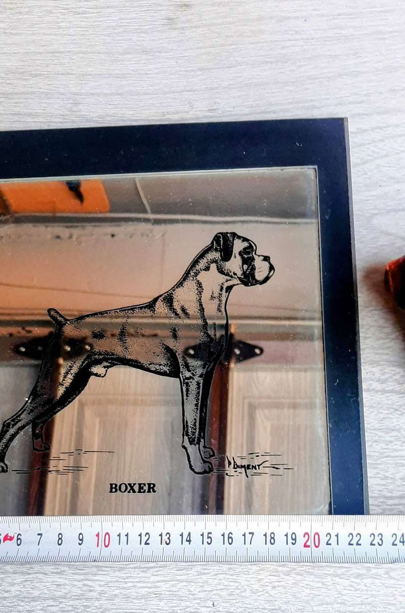 Copper plated boxer dog face with mirror of a boxer.