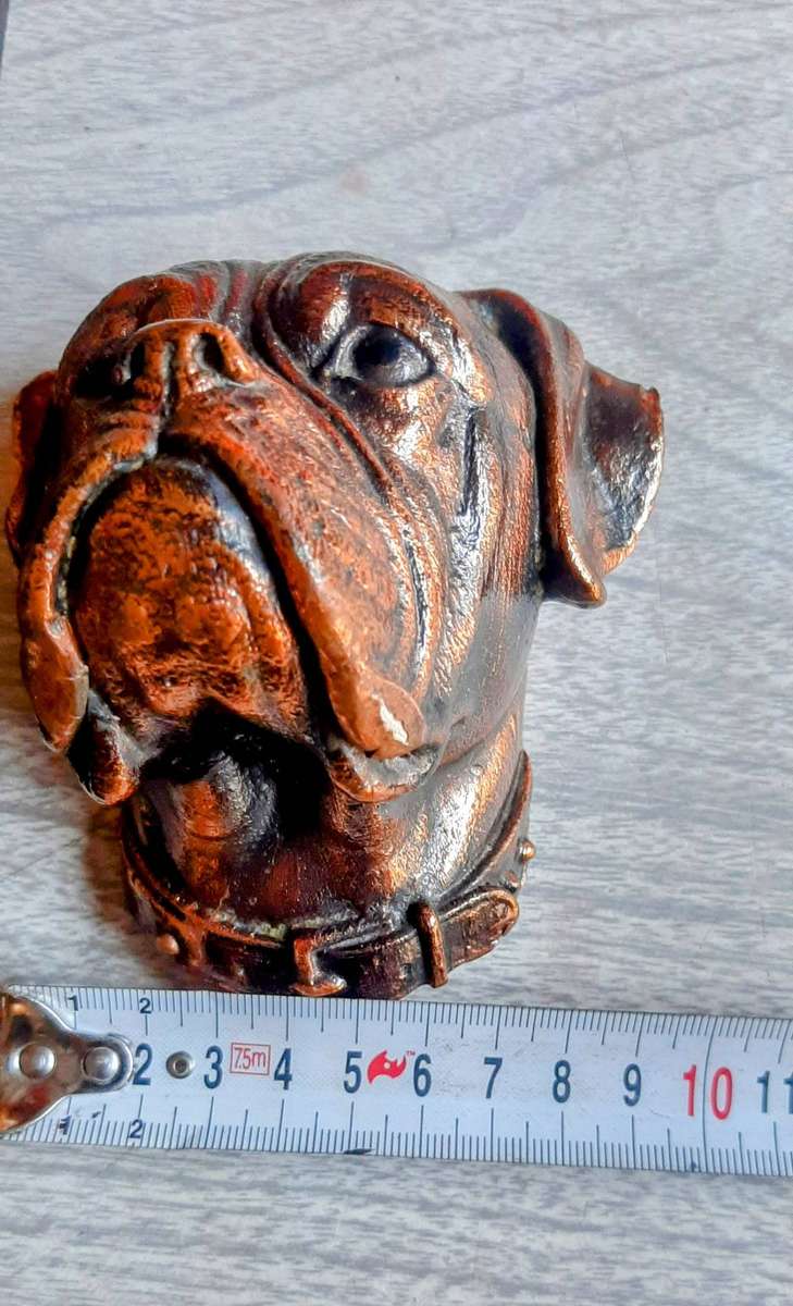 Copper plated boxer dog face with mirror of a boxer.