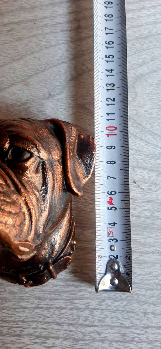 Copper plated boxer dog face with mirror of a boxer.