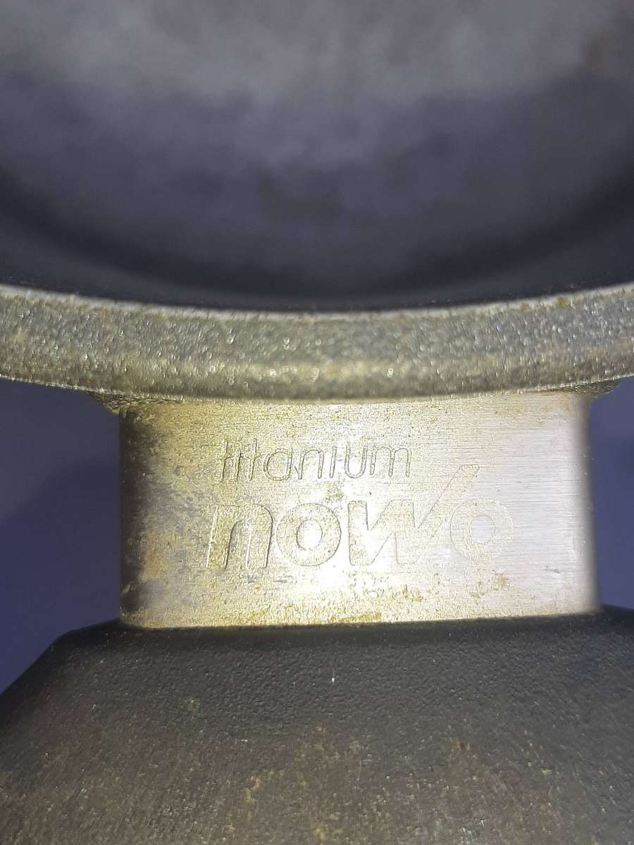 Woll Titanium Nowo Induction Pot. It is a cast aluminum pot with a non-stick titanium alloy coating.