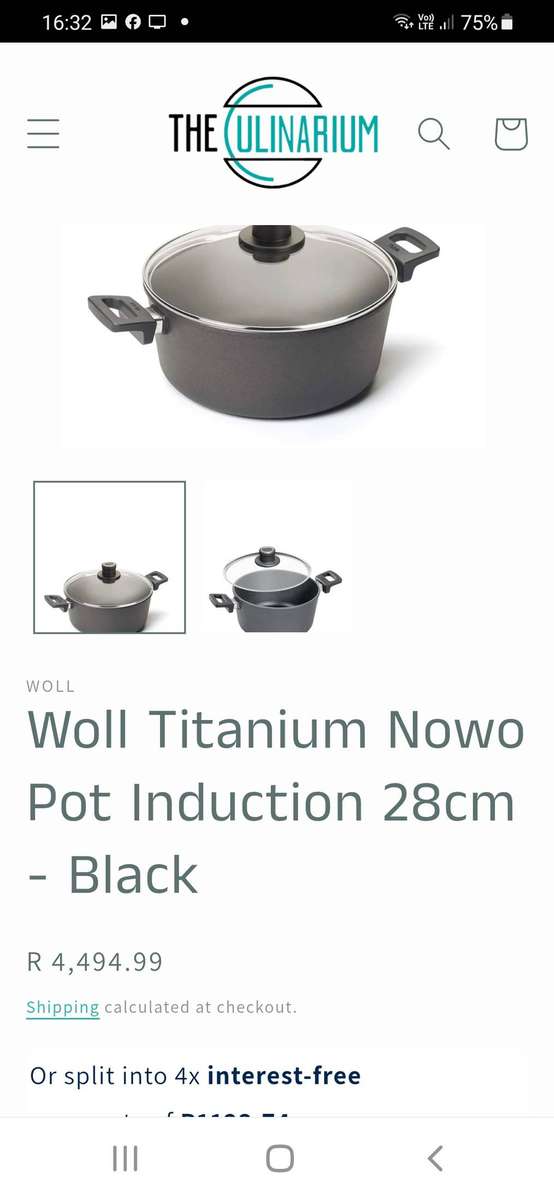 Woll Titanium Nowo Induction Pot. It is a cast aluminum pot with a non-stick titanium alloy coating.