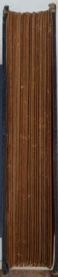 Sketches and Studies in South Africa - W.J. Knox Little. 1900!