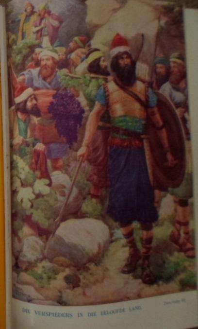 Die Afrikaanse Kinderbybel. WJ Conradie.  1949.