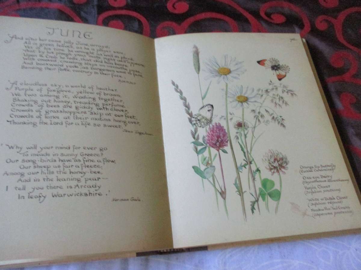 THE COUNTRY DIARY OF AN EDWARDIAN LADY - EDITH HOLDEN