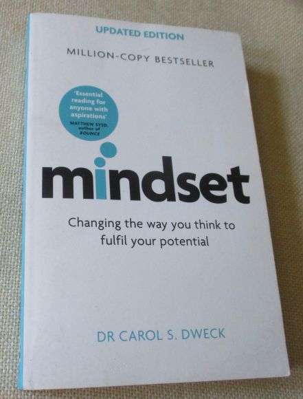 MINDSET - CHANGING THE WAY YOU THINK TO FULFIL YOUR POTENTIAL - DR CAROL S DWECK