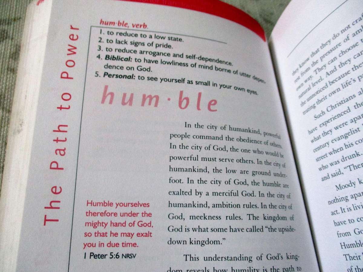 WORDS TO LIVE BY - REFLECTIONS &  INSIGHTS ON THE MOST LIFE-CHANGING & THOUGHT-PROVOKING WORDS IN TH