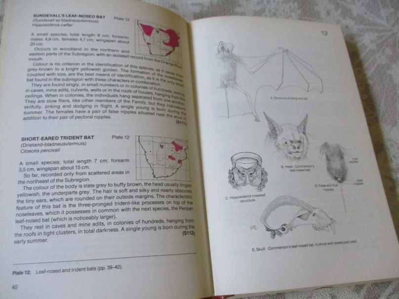 THE MAMMALS OF SOUTHERN AFRICA - A FIELD GUIDE - REAY H N SMITHERS