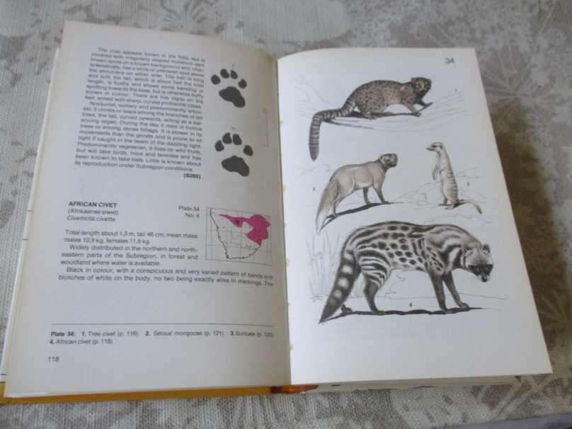 THE MAMMALS OF SOUTHERN AFRICA - A FIELD GUIDE - REAY H N SMITHERS