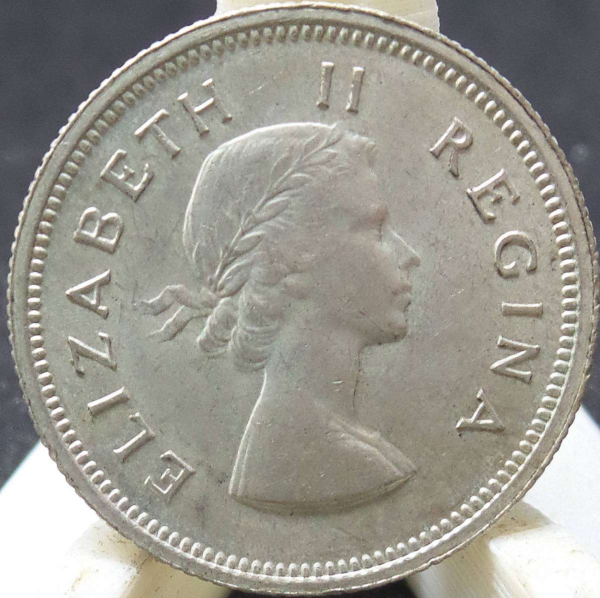 SA Union 1 Shilling 1954 - UNC condition