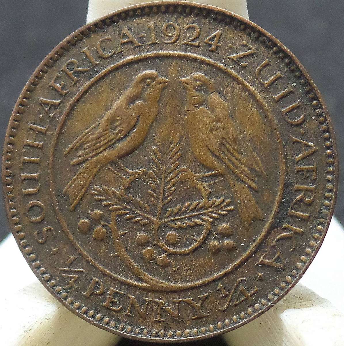 *R1 Auction* SA Union 1/4 Penny 1924