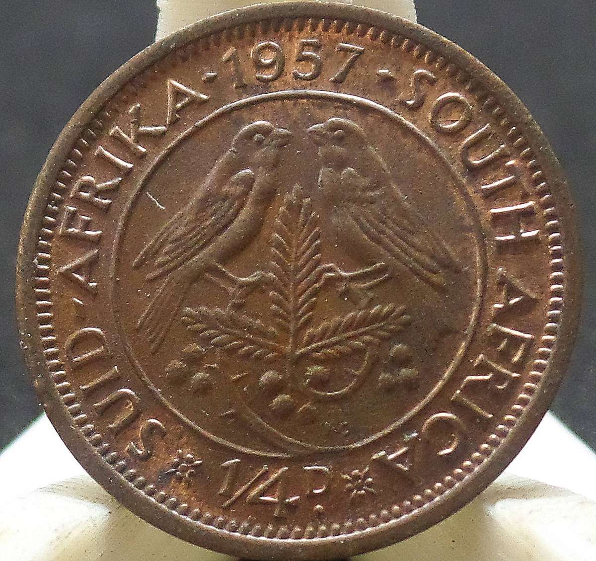 SA Union 1/4 Penny 1957