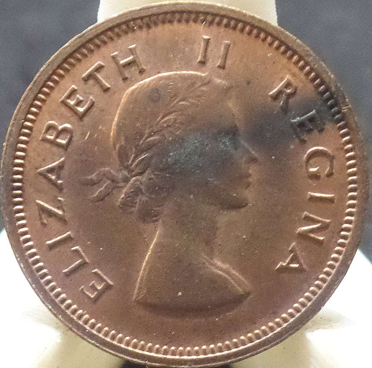 SA Union 1/4 Penny 1958