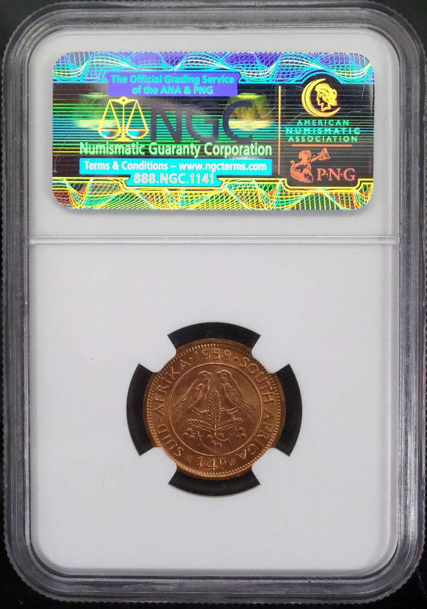 SA Union 1/4 Penny 1958 - NGC MS63 RD