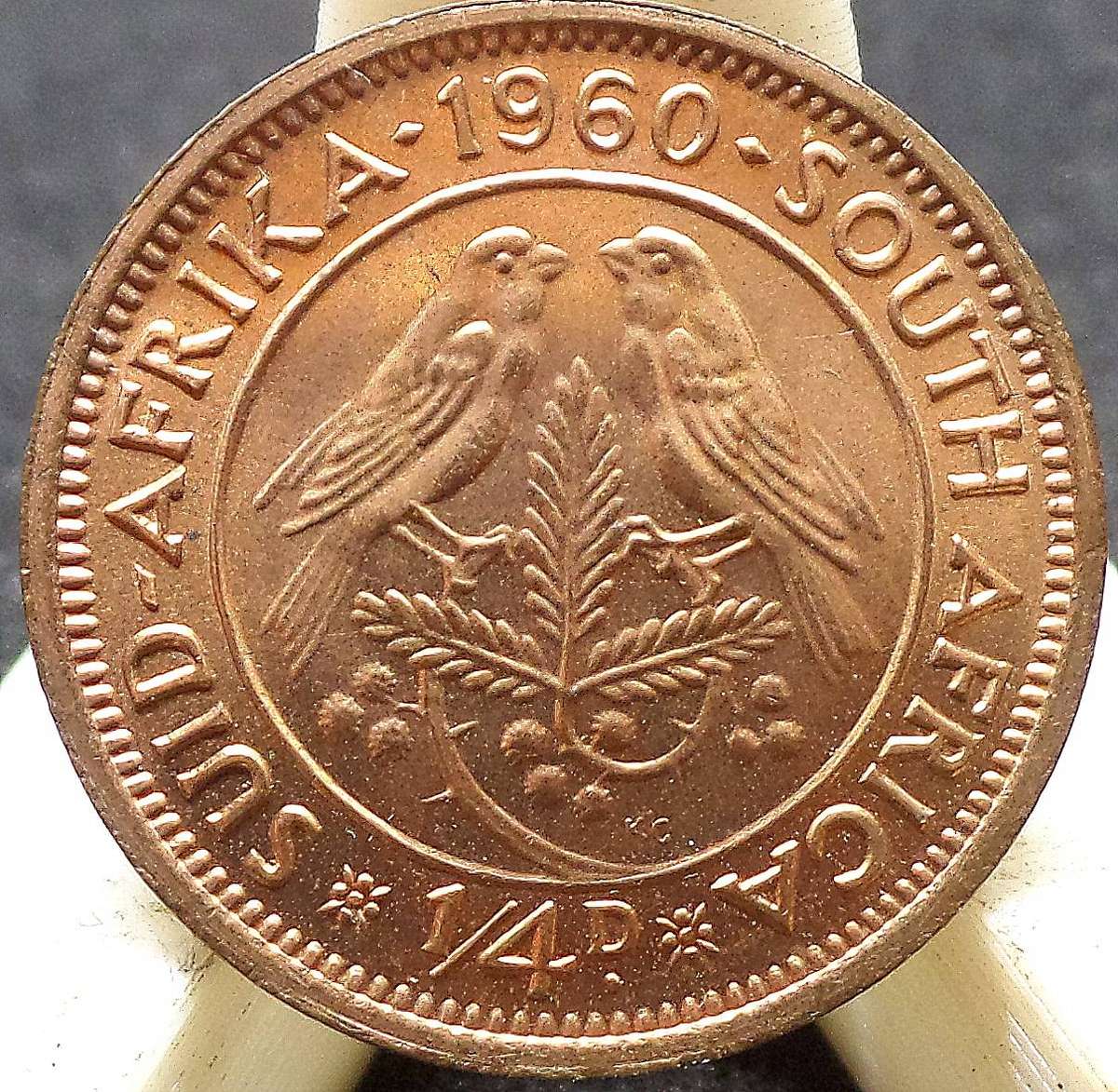 *R1 Auction* SA Union 1/4 Penny 1960 - UNC condition