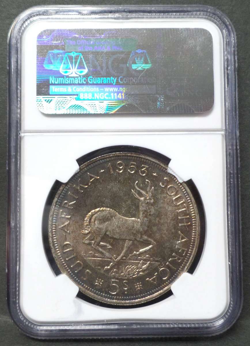 SA Union 5 Shillings 1953 - NGC MS64