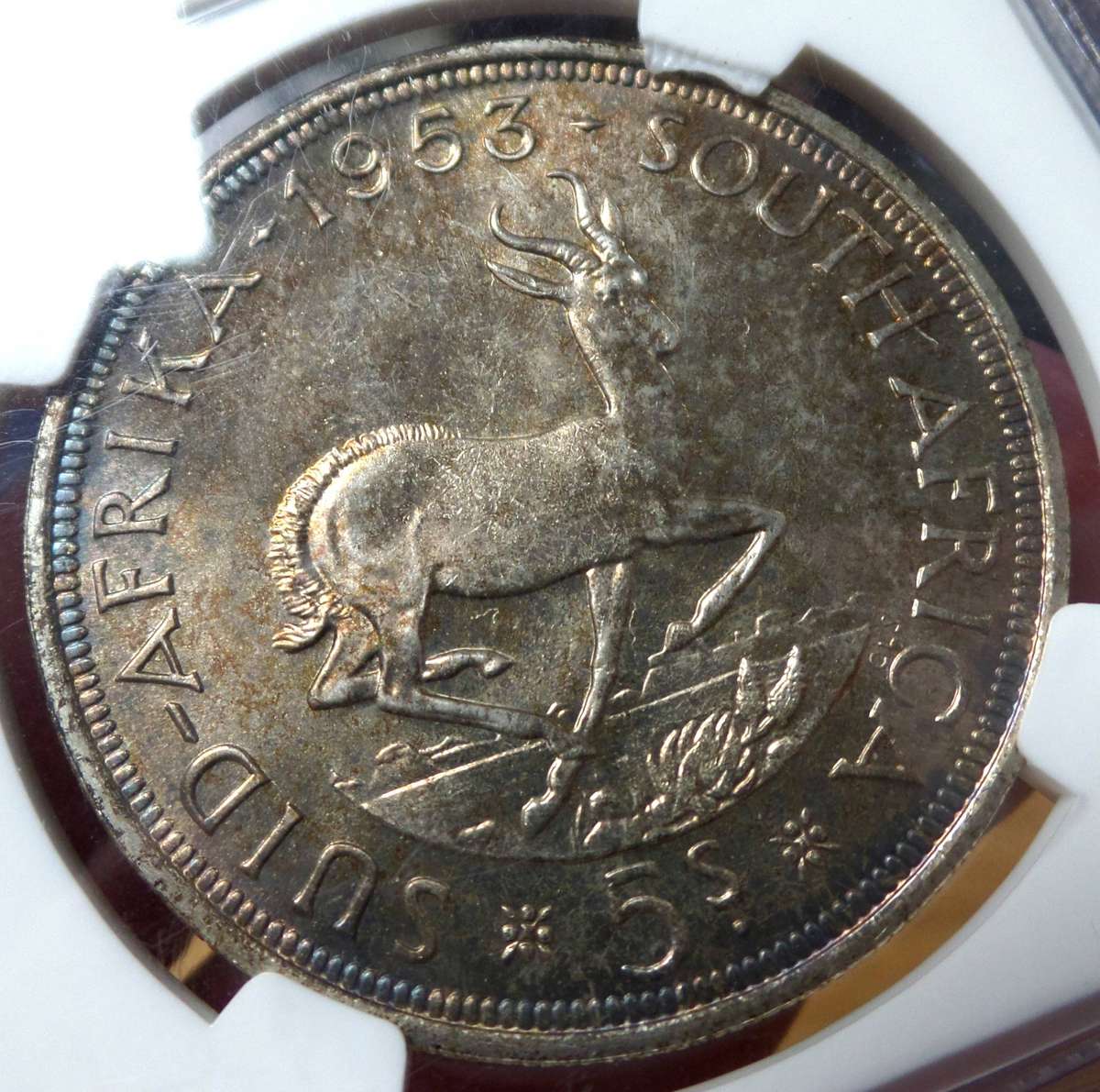 SA Union 5 Shillings 1953 - NGC MS64