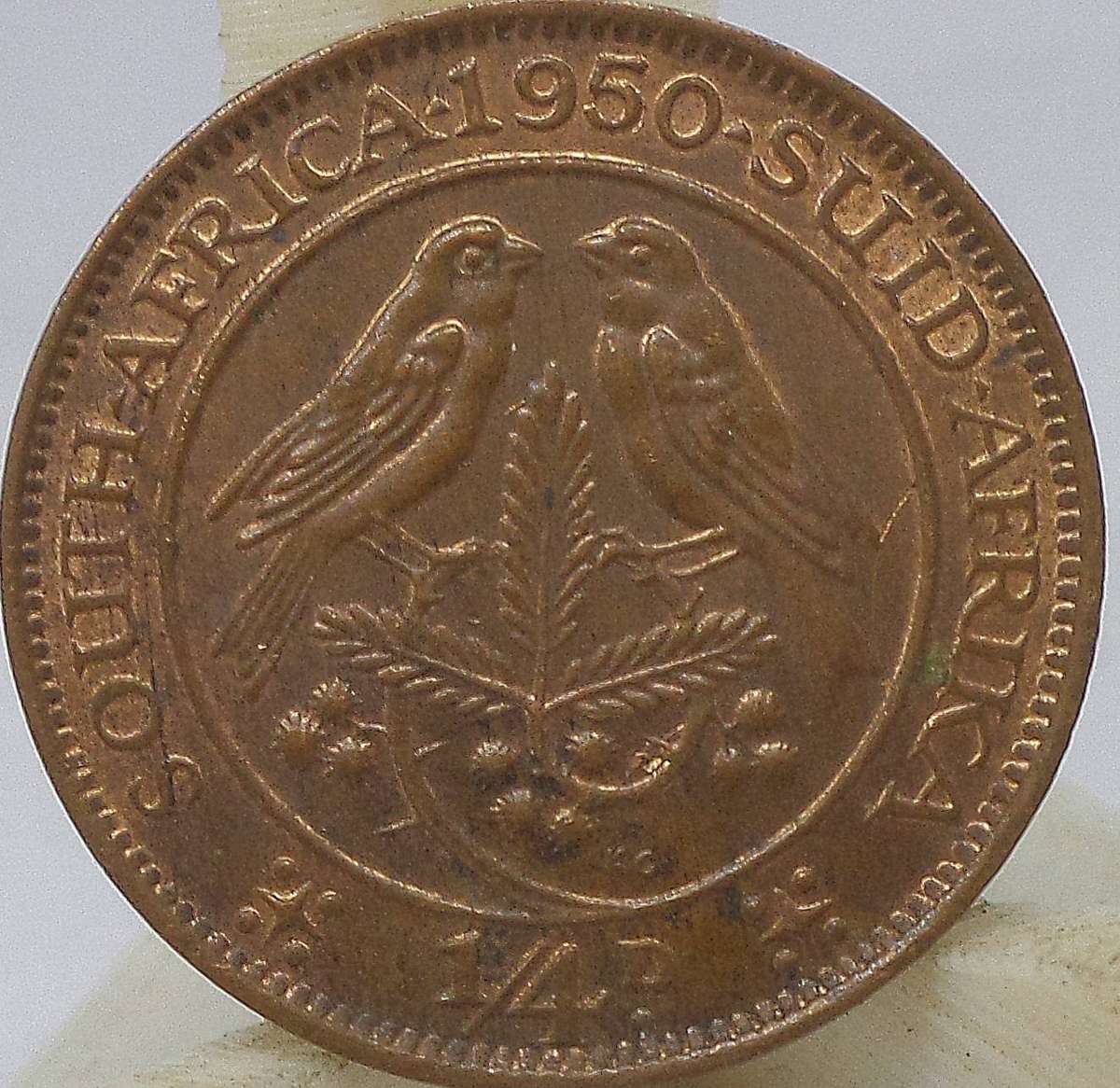SA Union 1/4 Penny 1950