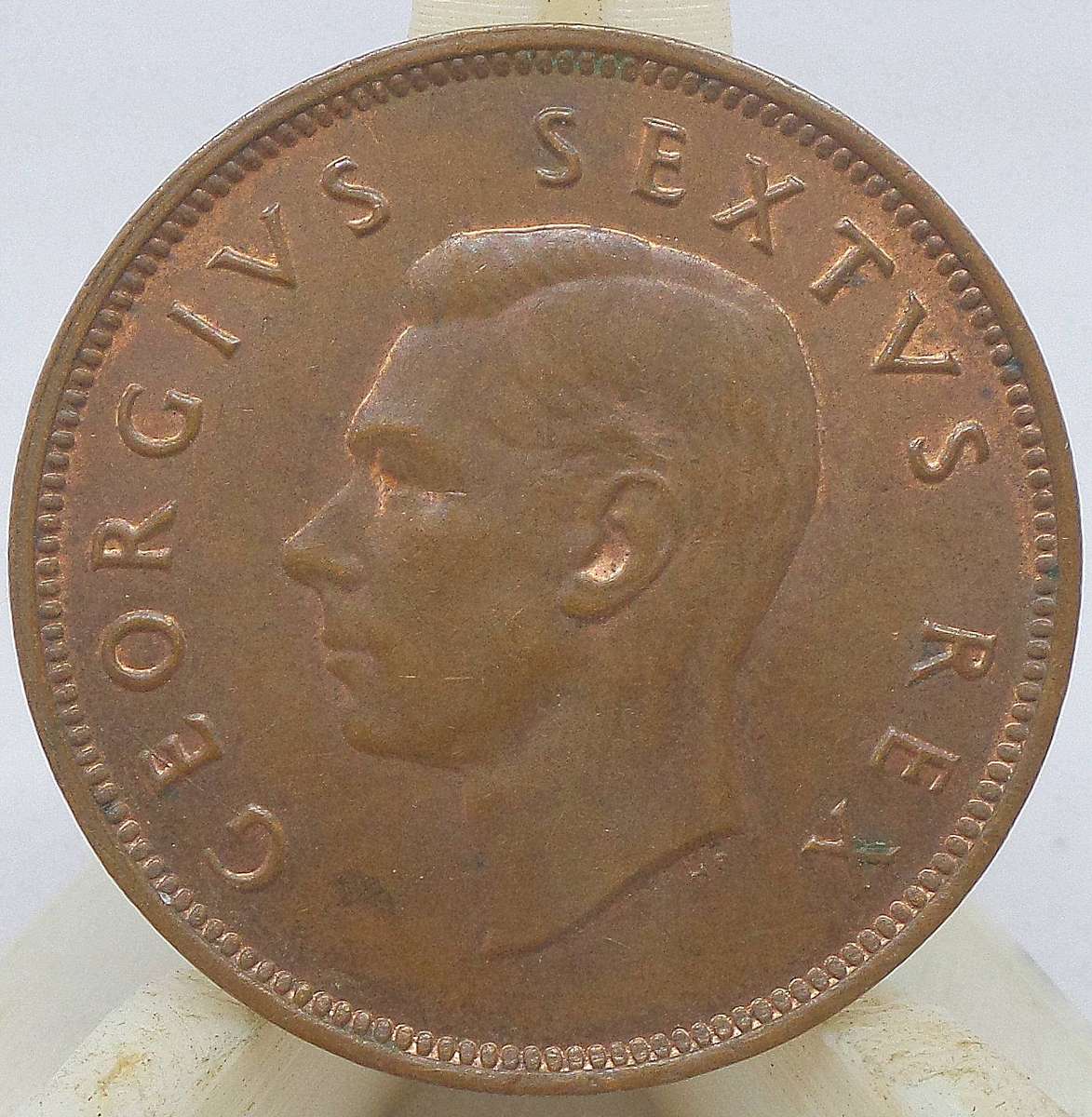 SA Union 1/2 Penny 1952 - Nice condition
