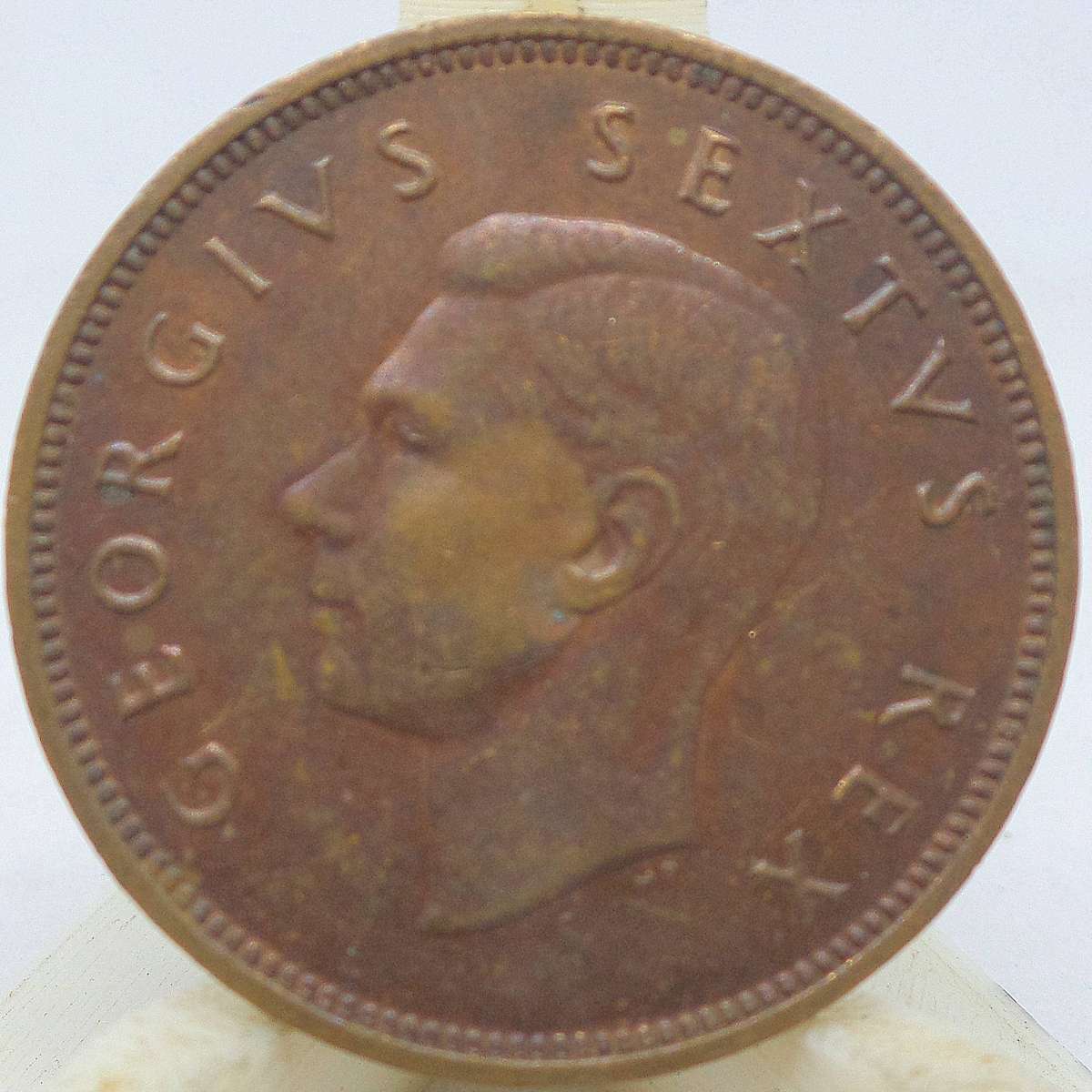 SA Union 1/2 Penny 1951
