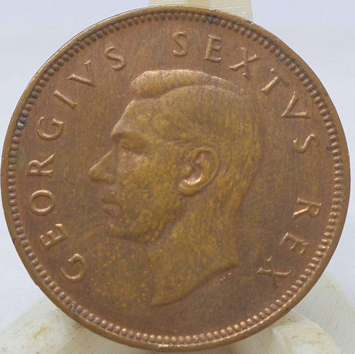 SA Union 1/2 Penny 1950