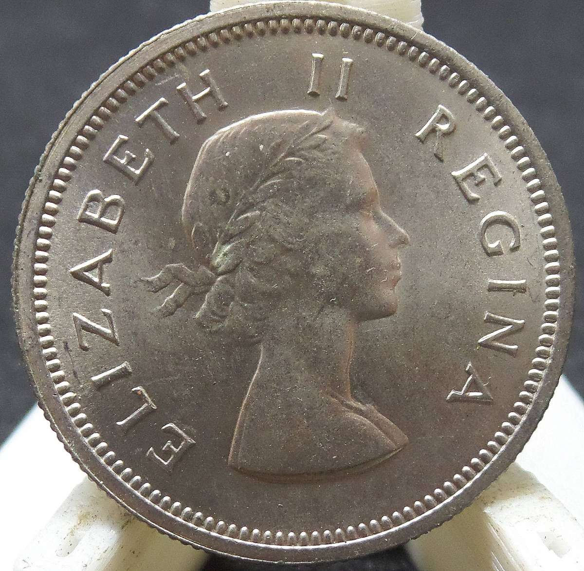 SA Union 1 Shilling 1953 - UNC condition