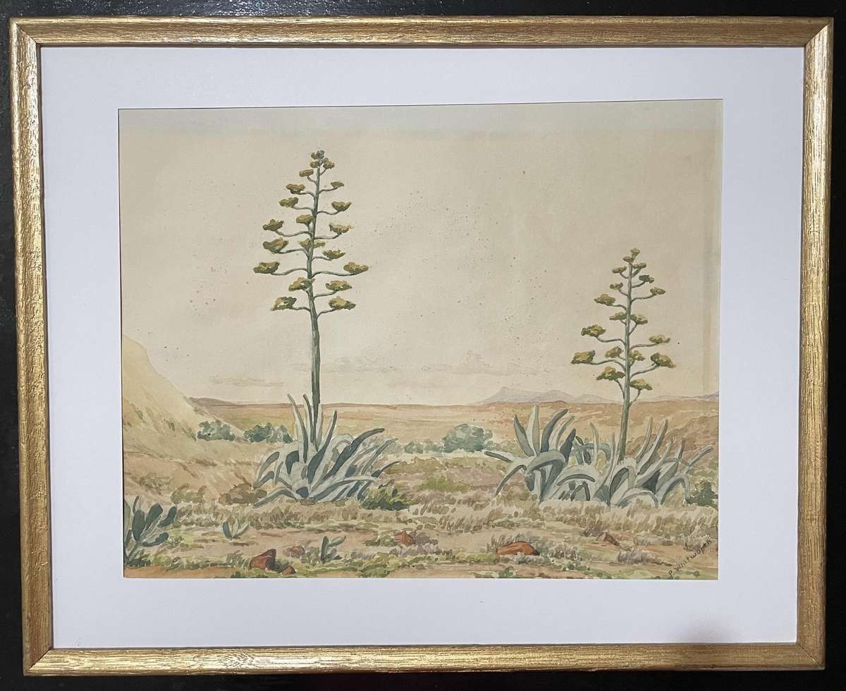 ORIGINAL P. WHITWORTH - WATER COLOUR PAINTING IN GOLD FRAME - KAROO WILDERNESS