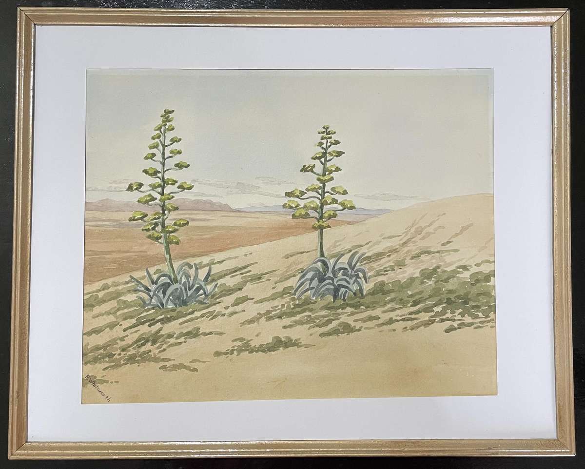 ORIGINAL P. WHITWORTH - WATER COLOUR PAINTING IN GOLD FRAME - KAROO LANDSCAPE
