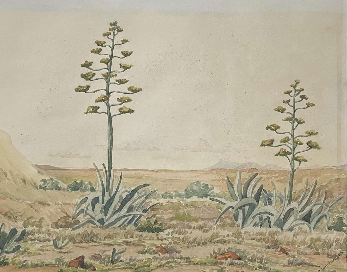 ORIGINAL P. WHITWORTH - WATER COLOUR PAINTING IN GOLD FRAME - KAROO WILDERNESS