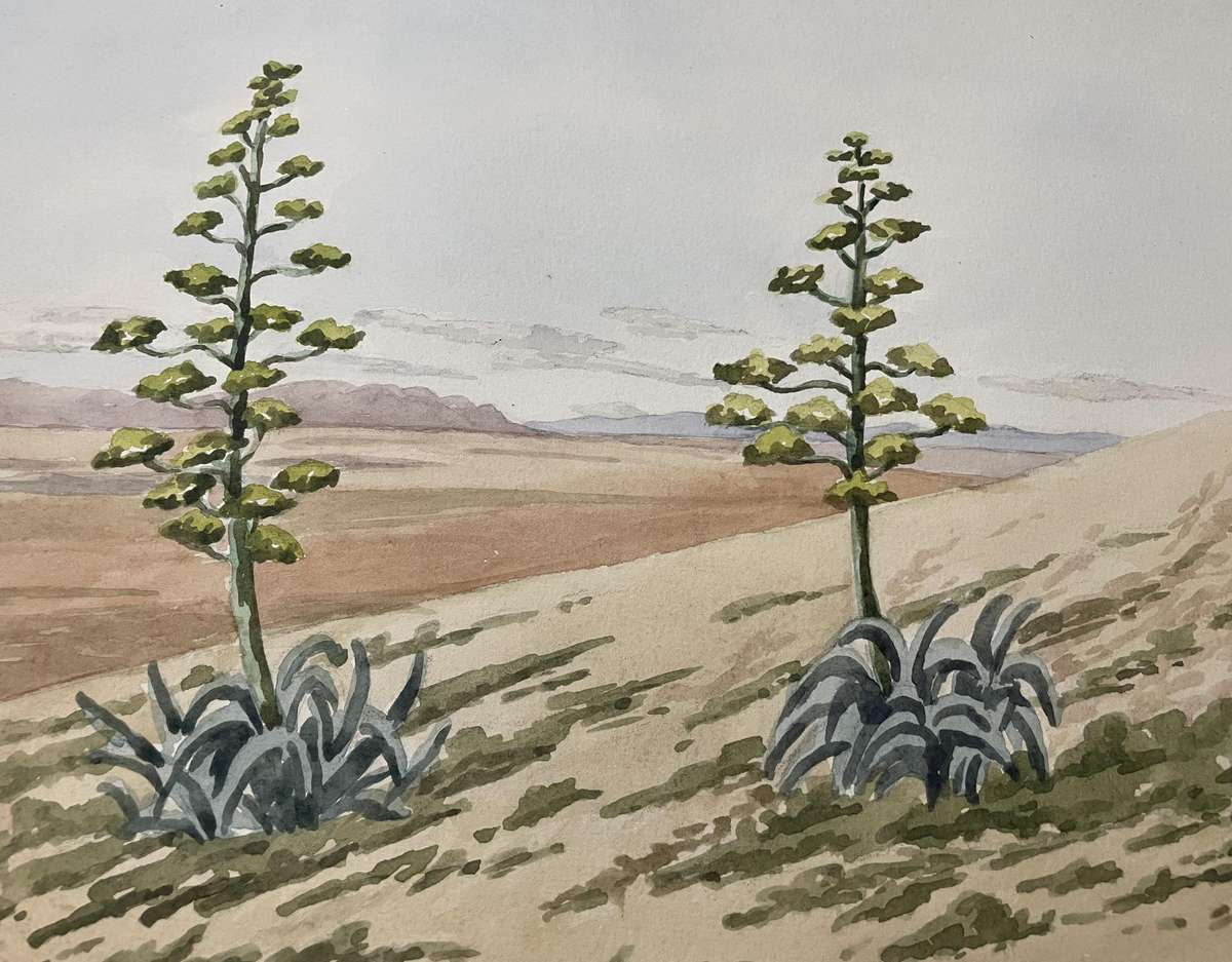 ORIGINAL P. WHITWORTH - WATER COLOUR PAINTING IN GOLD FRAME - KAROO LANDSCAPE