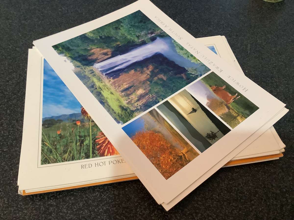 Bundle of unused post cards