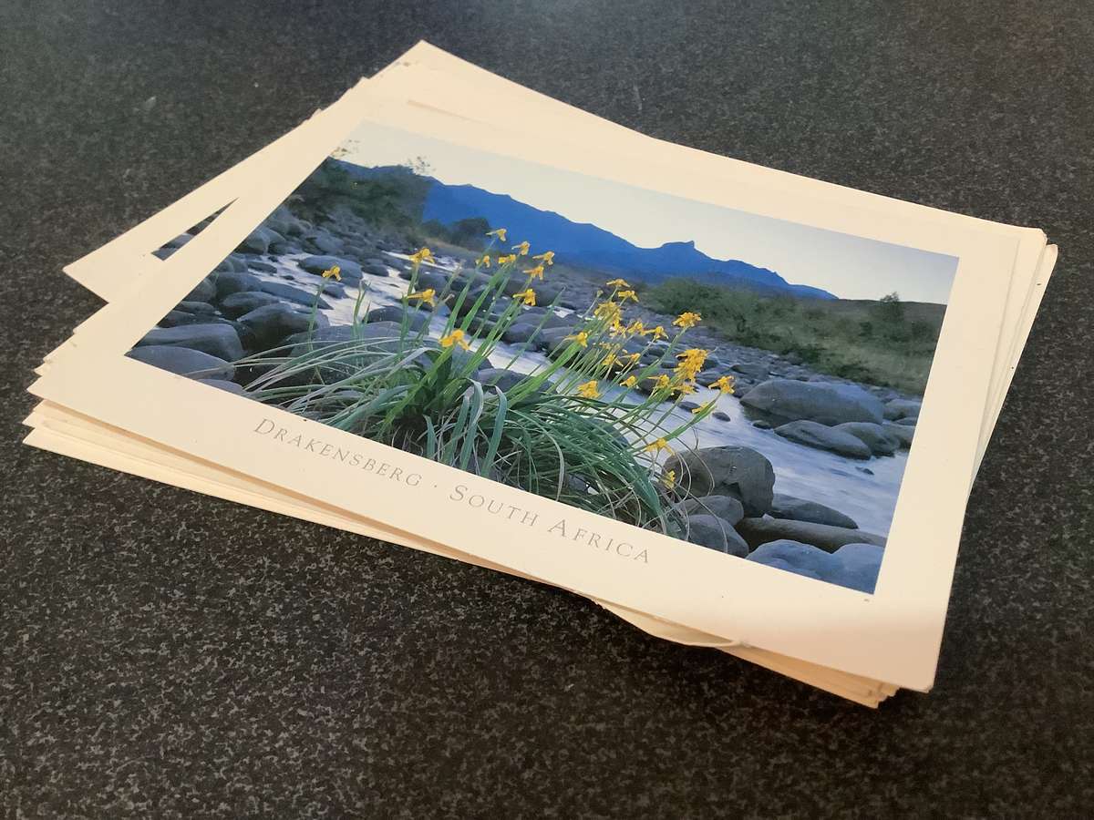 Bundle of unused post cards