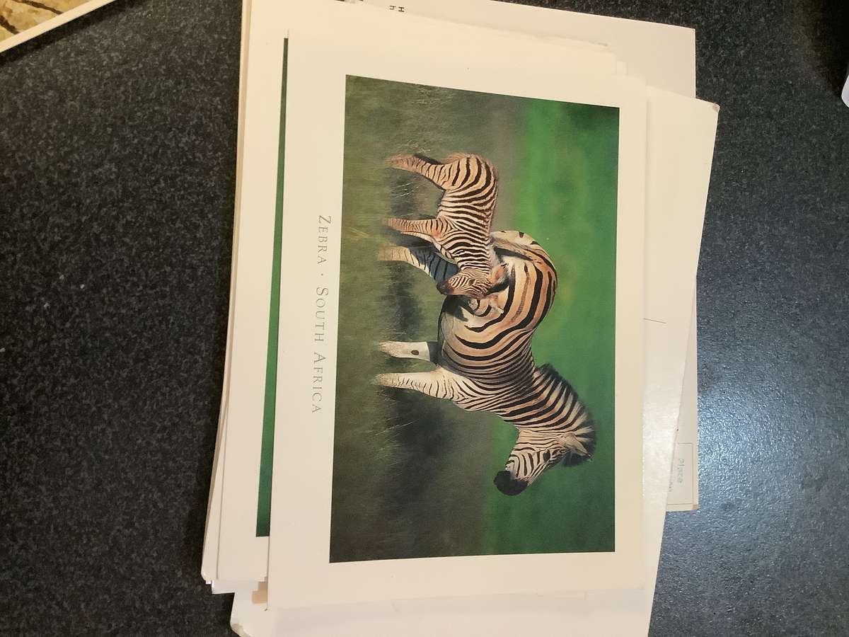 Vintage postcard bundles