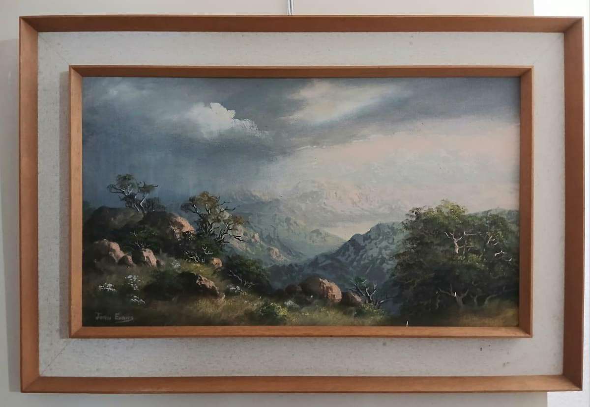 Joan Evans Signed Oil Painting  Framed Original Landscape