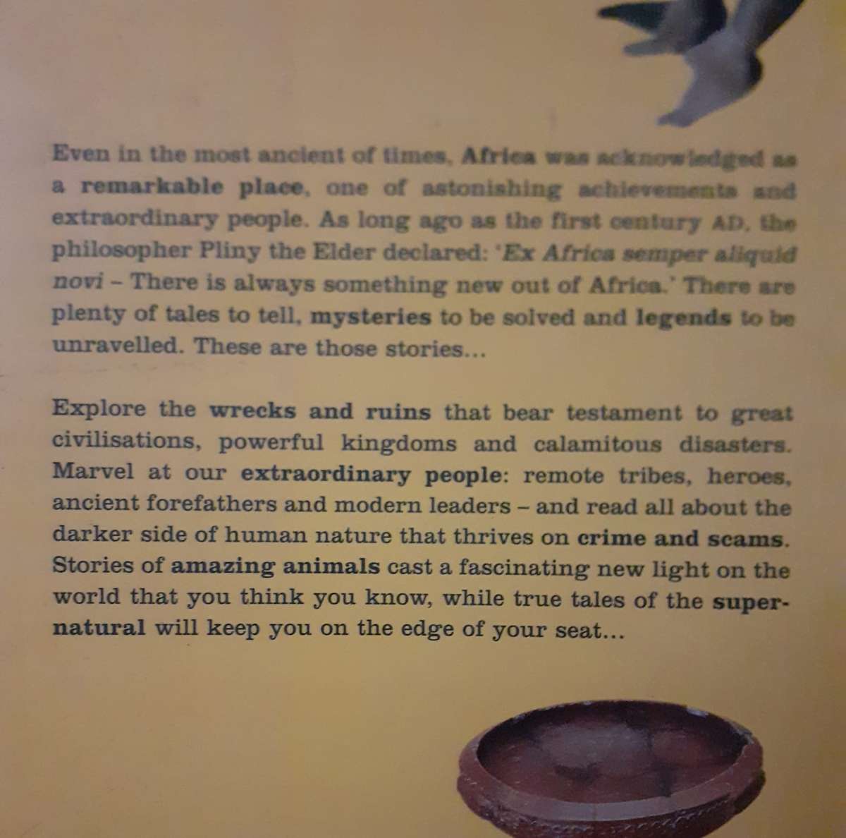 South Africa Weird and Wonderful ~ Rob Marsh