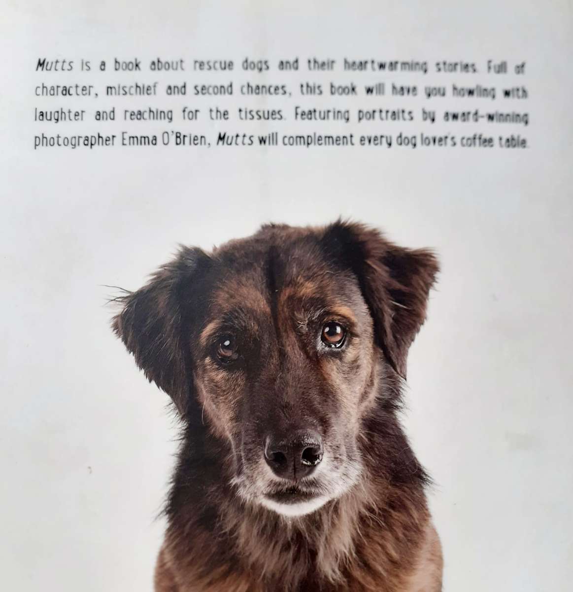 Mutts ~ Emma O'Brien