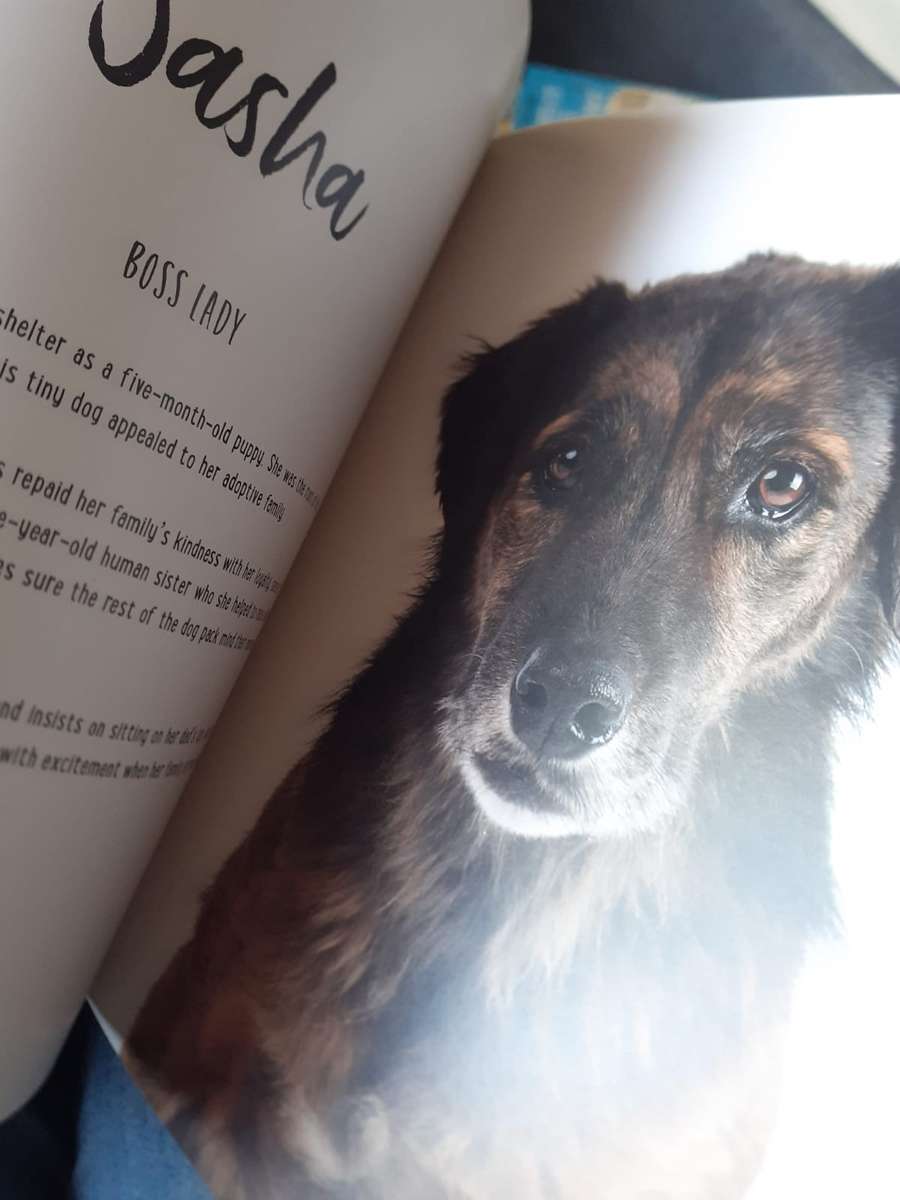 Mutts ~ Emma O'Brien