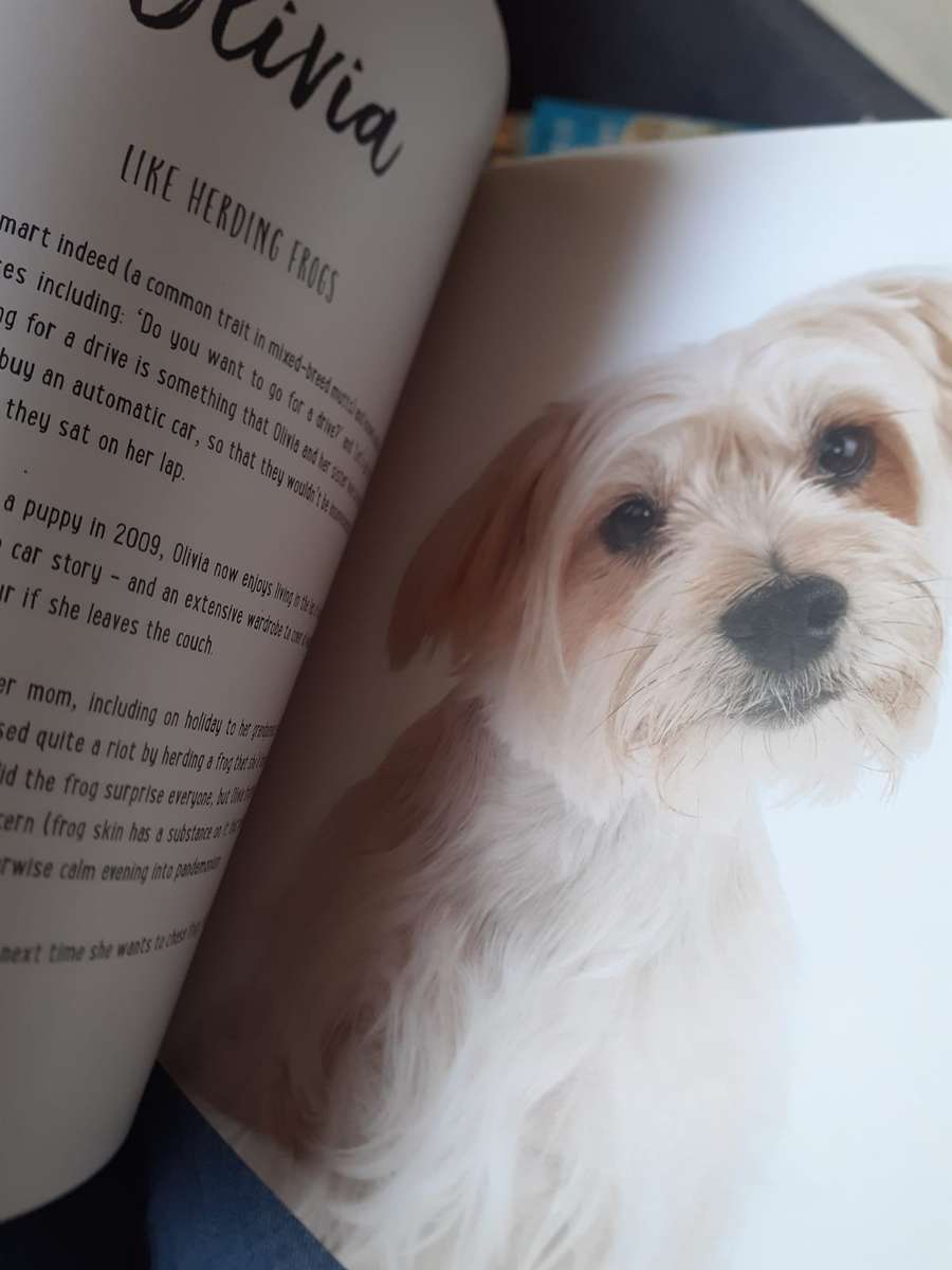 Mutts ~ Emma O'Brien