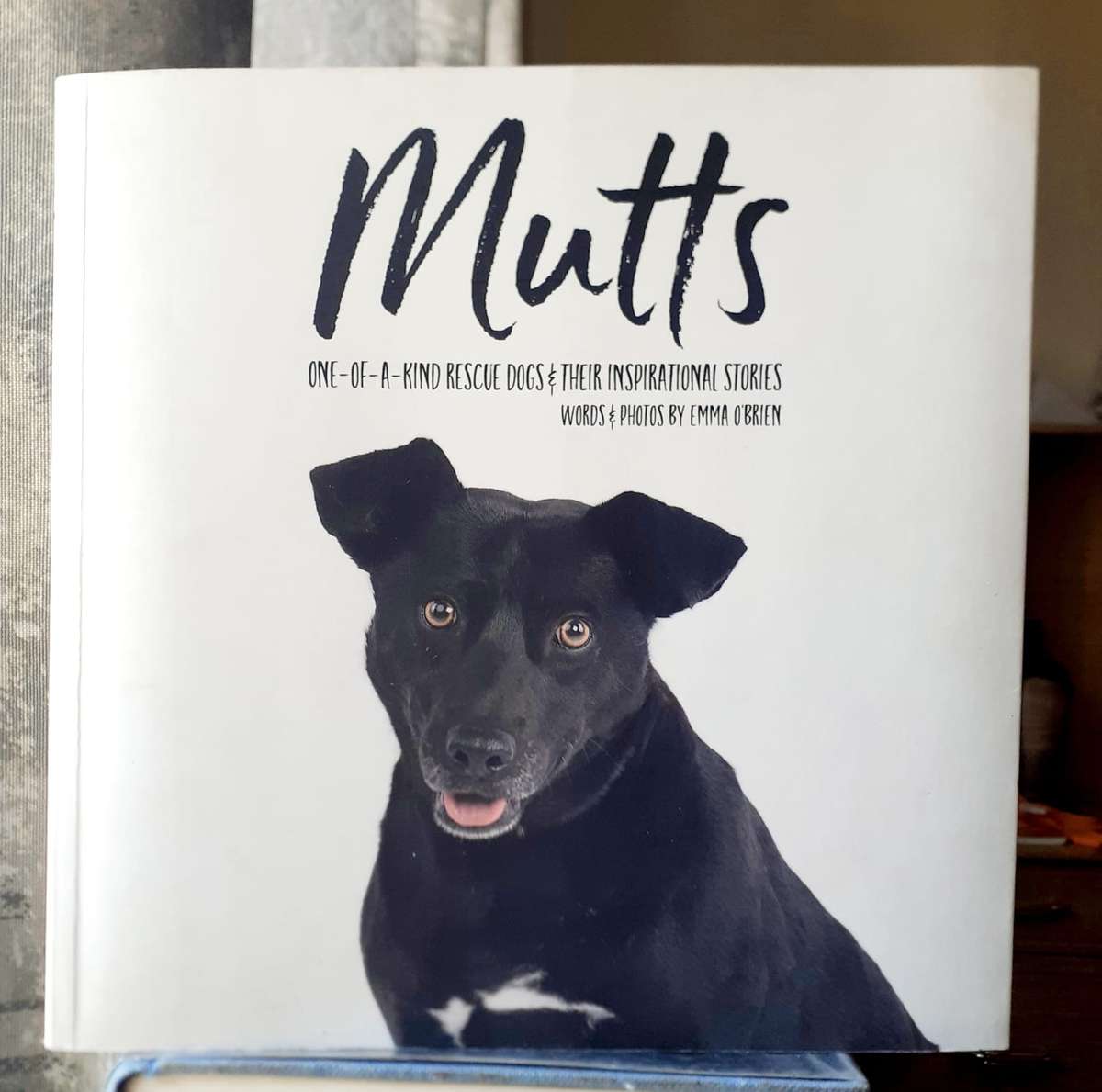 Mutts ~ Emma O'Brien
