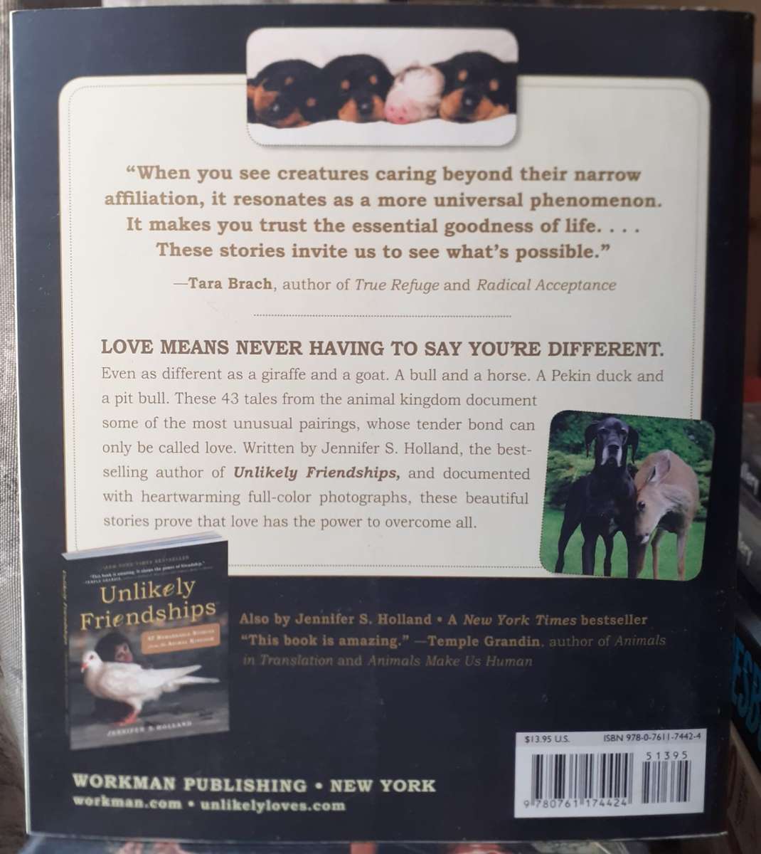 Unlikely Loves ~ Jennifer S Holland