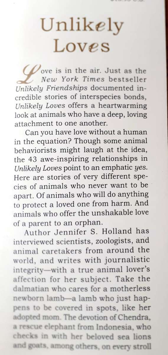 Unlikely Loves ~ Jennifer S Holland