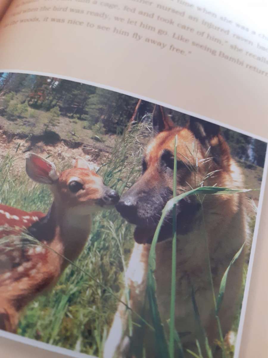 Unlikely Loves ~ Jennifer S Holland