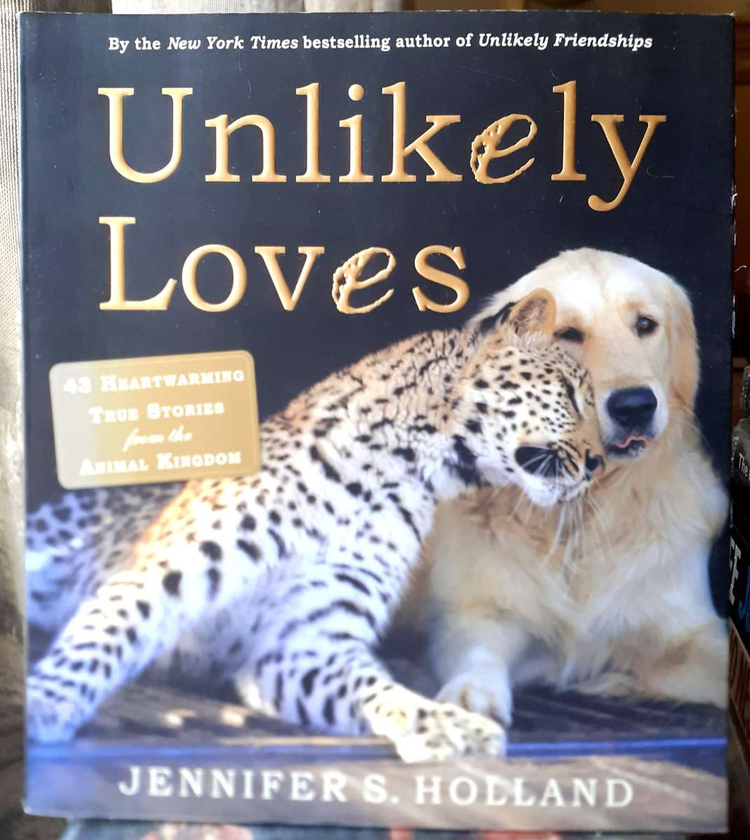 Unlikely Loves ~ Jennifer S Holland