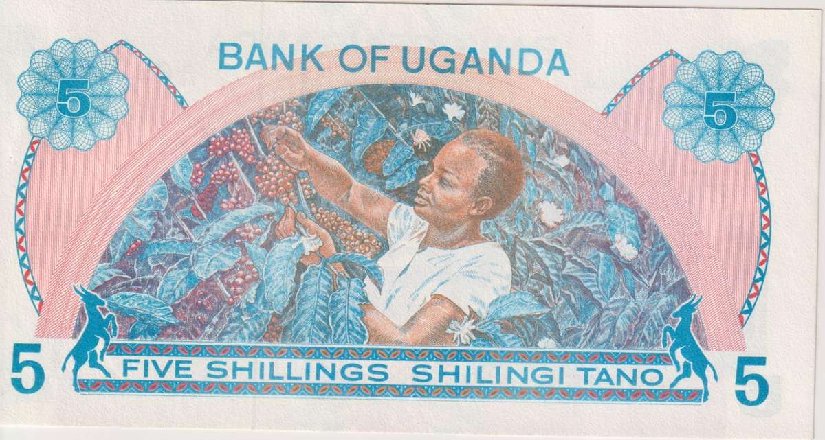 Uganda 5 Shillings 1979 P10 UNC