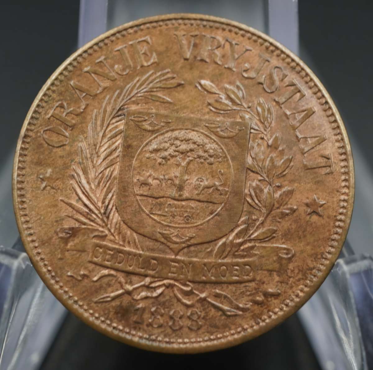 1888  Orange Free State Pattern Penny Scarce