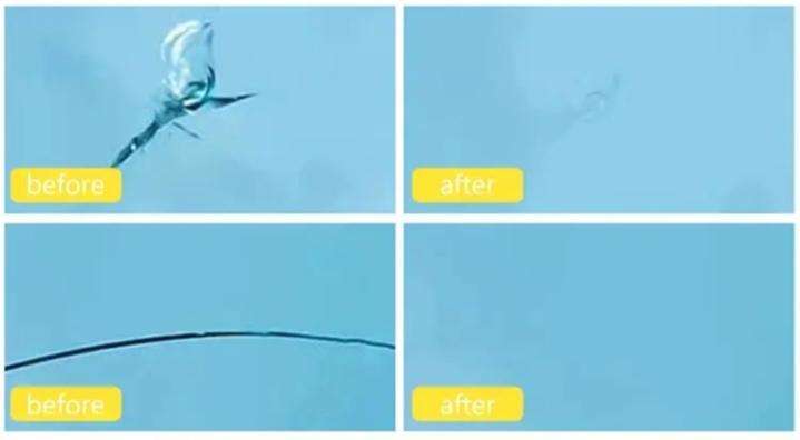 Professional Windscreen Chip Repair  Done On-Site in Germiston